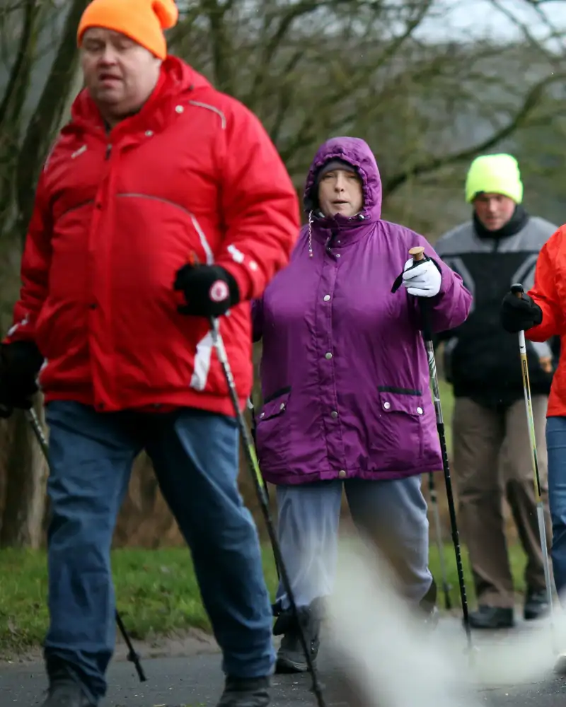 Eine Wandergruppe ist mit Nordic Walkingstöcken im Wald unterwegs.