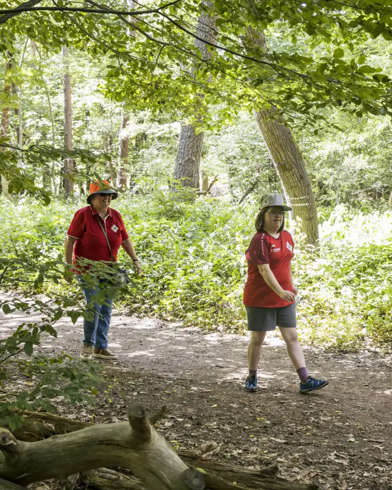 Drei Personen auf einem Wanderweg im Wald