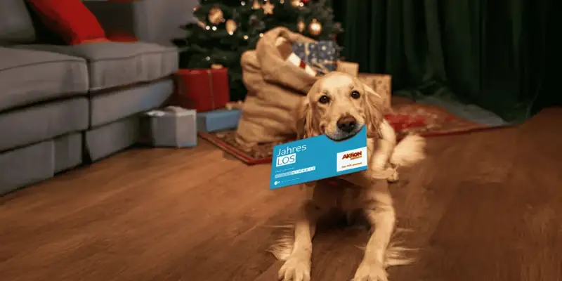 Ein Hund liegt in einem weihnachtlich geschmückten Wohnzimmer und hält ein Los der Aktion Mensch im Maul.