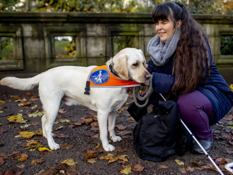 Eine junge Frau kniet neben einem Labrador. Der Hund trägt ein Blindenführhund-Halsband.
