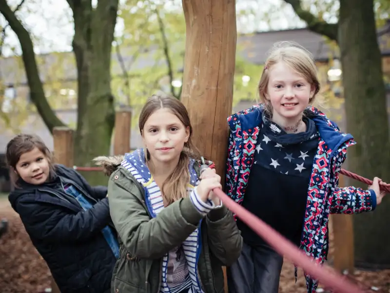 Drei Mädchen stehen auf einem Klettergerüst in einem herbstlichen Wald.