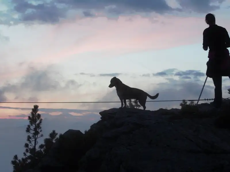 Vor einem Abendhimmel sind auf dem Gipfel eines Berges die Silhouetten einer Frau und eines Hundes zu sehen. Die Frau hat nur ein Bein und verwendet eine Unterarmgehstütze.