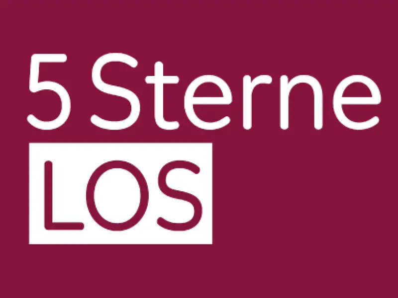 Das bordeaux-farbene 5 Sterne-Los der Aktion Mensch.