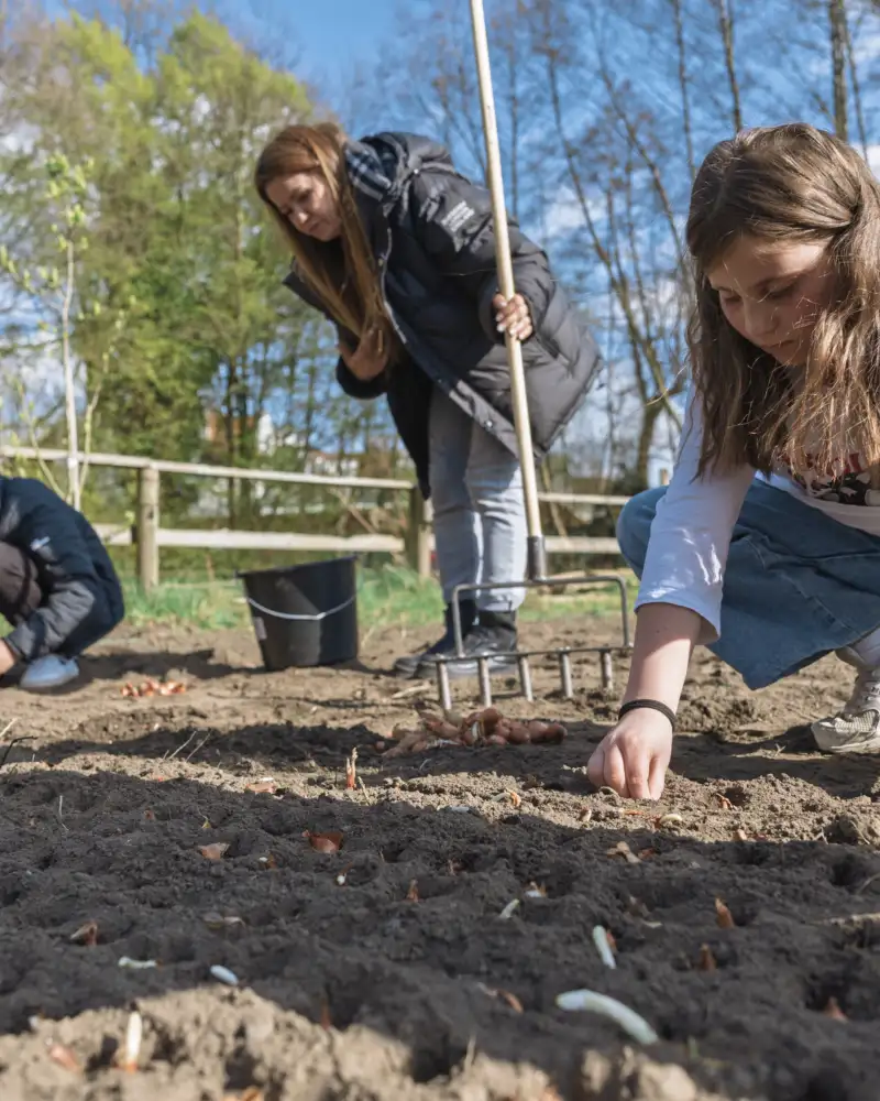 Zwei Kinder hocken auf einem Acker, auf dem kleine Pflänzchen aus der Erde hervorlugen. Ein drittes Kind hat eine Harke in der Hand und schaut auf den Boden.