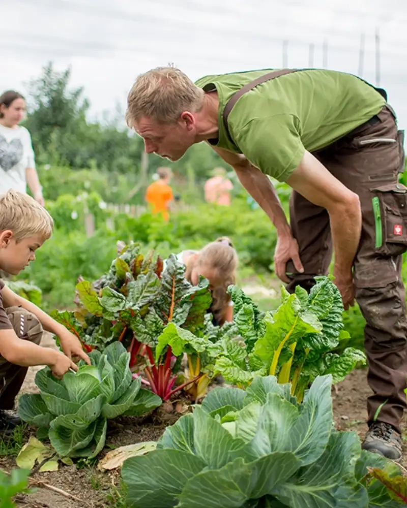 Zwei Kinder hocken auf einem Feld und untersuchen verschiedene Gemüsepflanzen. Dabei werden sie von einem Gärtner beaufsichtigt.
