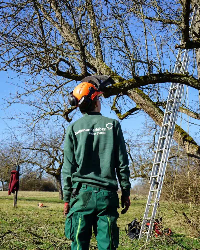 Ein Mann in grüner Arbeitskleidung mit Schutzhelm steht mit dem Rücken zur Kamera vor einem Baum ohne Blätter, an den eine Leiter gelehnt ist. Sein Sweatshirt trägt die Aufschrift: Miteinander leben