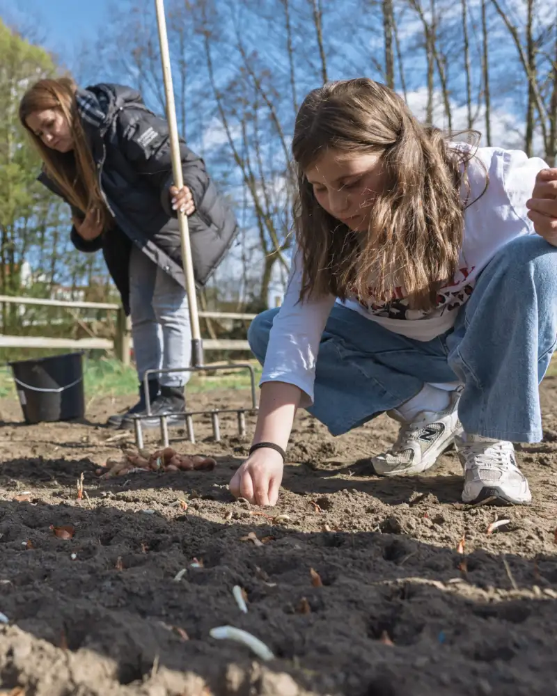 Kinder sähen Pflanzen auf einem Acker. Im Hintergrund sind Bäume zu sehen.