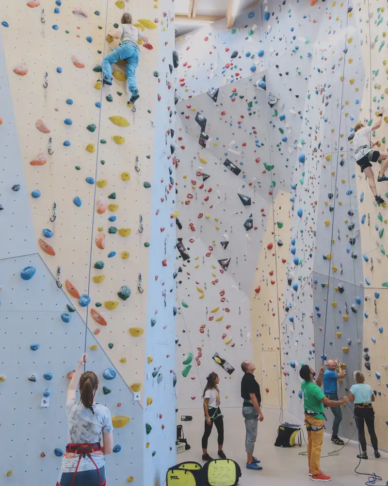 Blick in einer Kletterhalle. An den Wänden klettern zwei Personen hoch, die durch Seile gesichert sind.