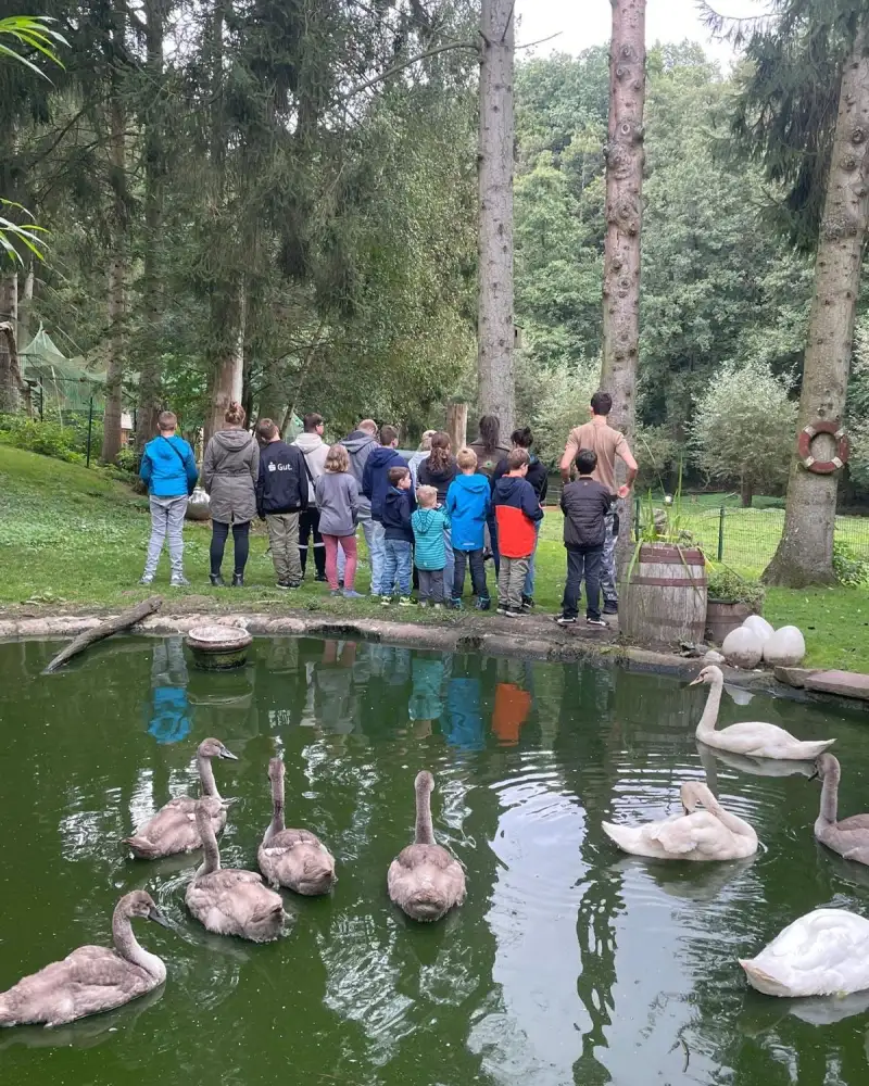 Im Vordergrund schwimmen Schwäne auf einem Teich. Dahinter stehen 17 Personen, die meisten davon Kinder, mit dem Rücken zum Teich. Sie schauen auf eine abschüssige Wiese und einen dahinter liegenden Wald.