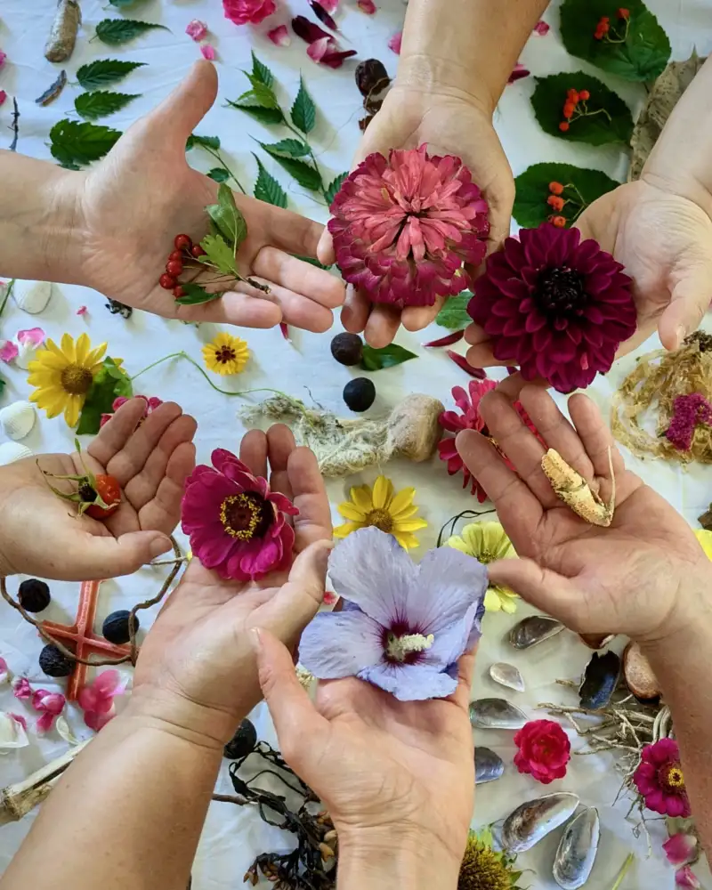 Sieben ausgestreckte Hände, in deren Handflächen Blumen und Früchte liegen, bilden einen Kreis über einer weißen Decke, die mit Blumen, Blättern, Früchten, Baumrinde, Gräsern, Muscheln und Steinen dekoriert ist.