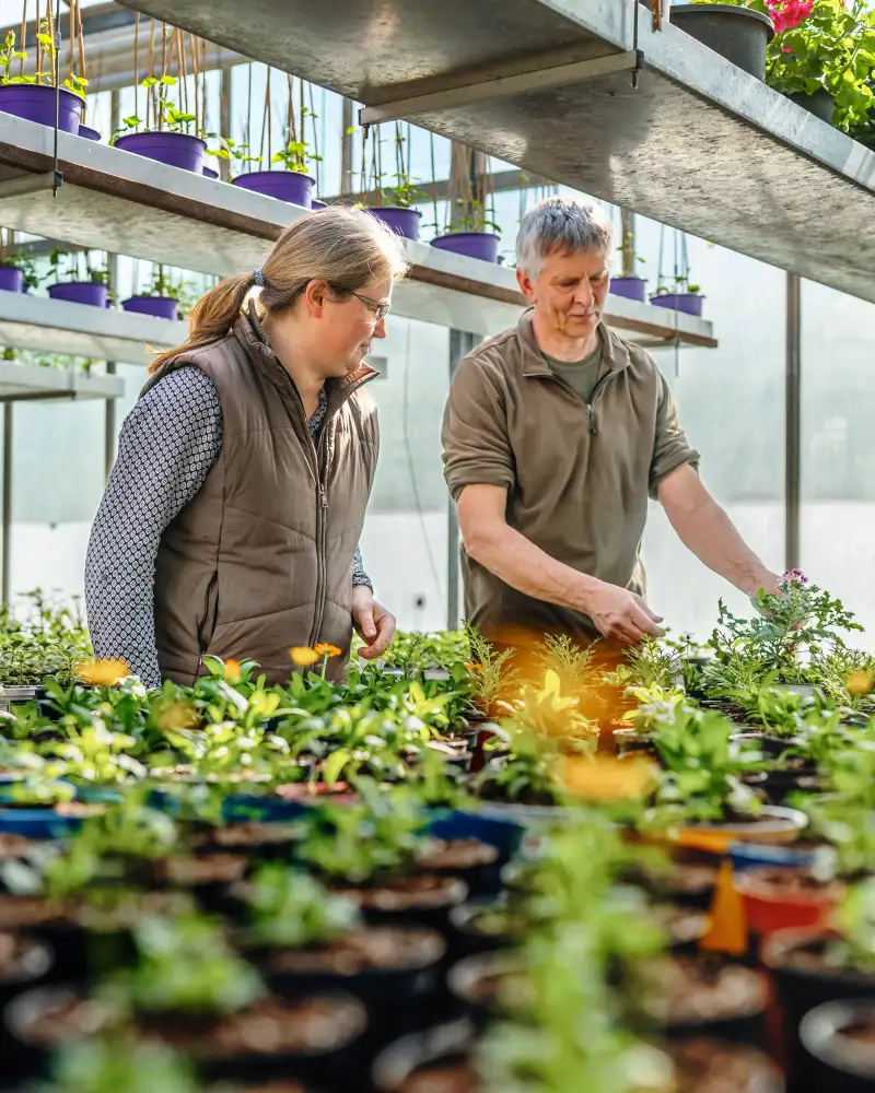 Zwei Personen in einem großen Gewächshaus