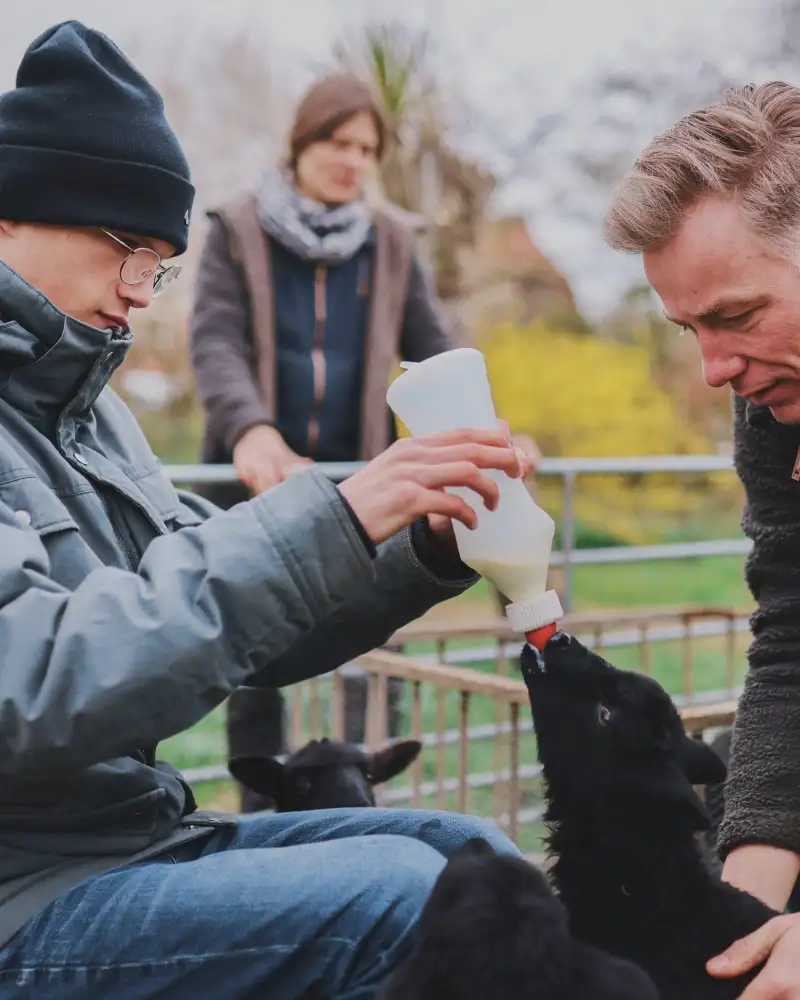 Ein Jugendlicher sitzt auf einem Stuhl und füttert ein schwarzes Lamm mit einer Flasche Milch. Ein Mann hält das Lamm fest.