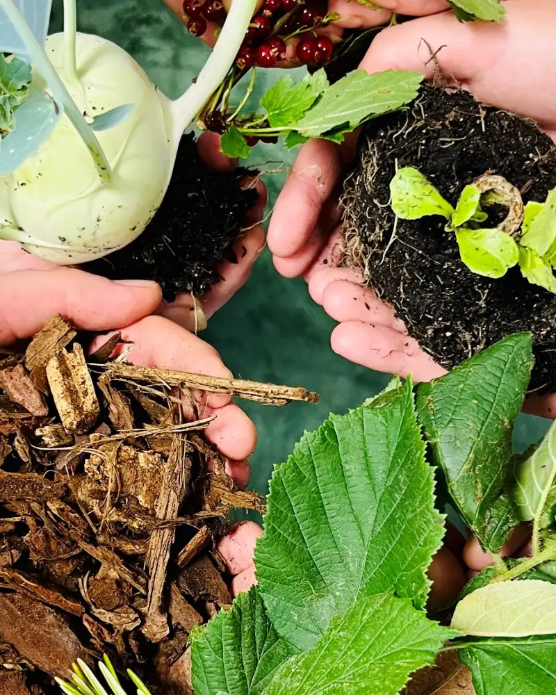 In den Händen von vier Pesonen liegen unterschiedliche Pflanzen: ein Kohlrabi, ein Haselnusszweig, Rindenstücke und eine junge Salatpflanze.