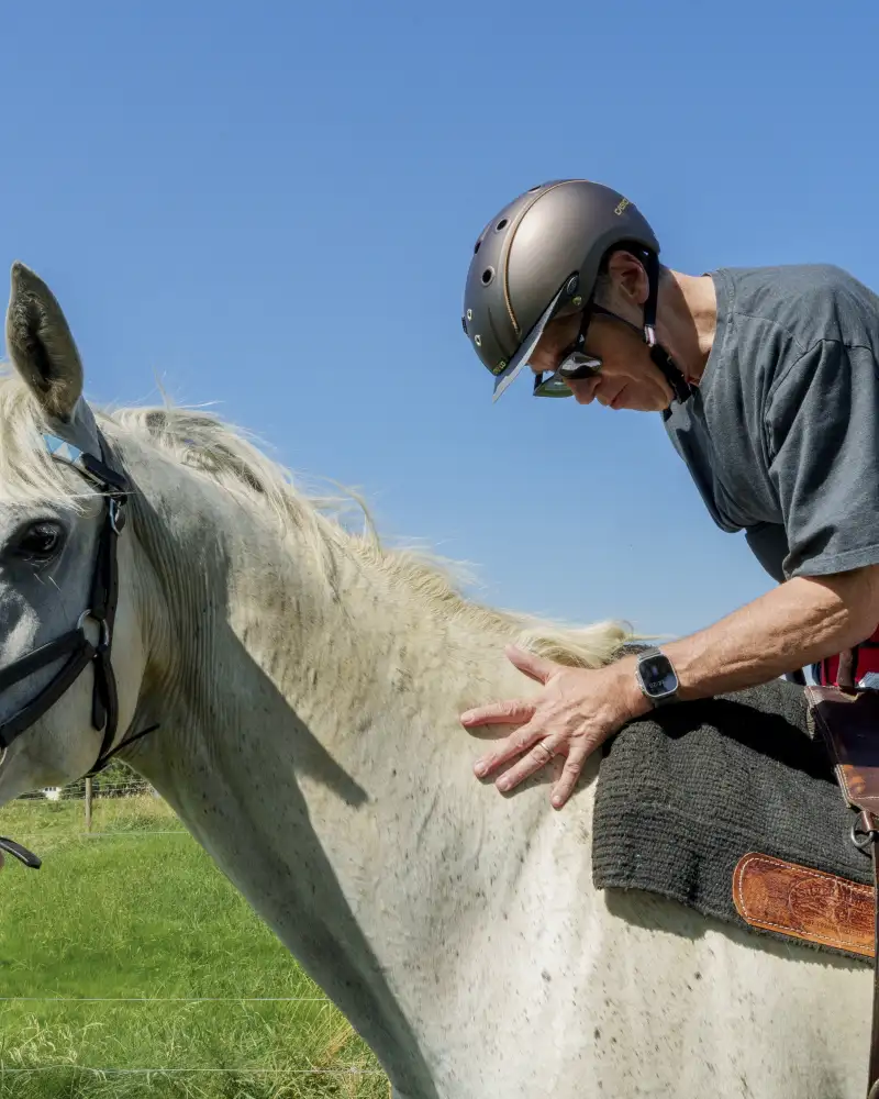 Ein Mann mit Helm sitzt auf einem Schimmel.