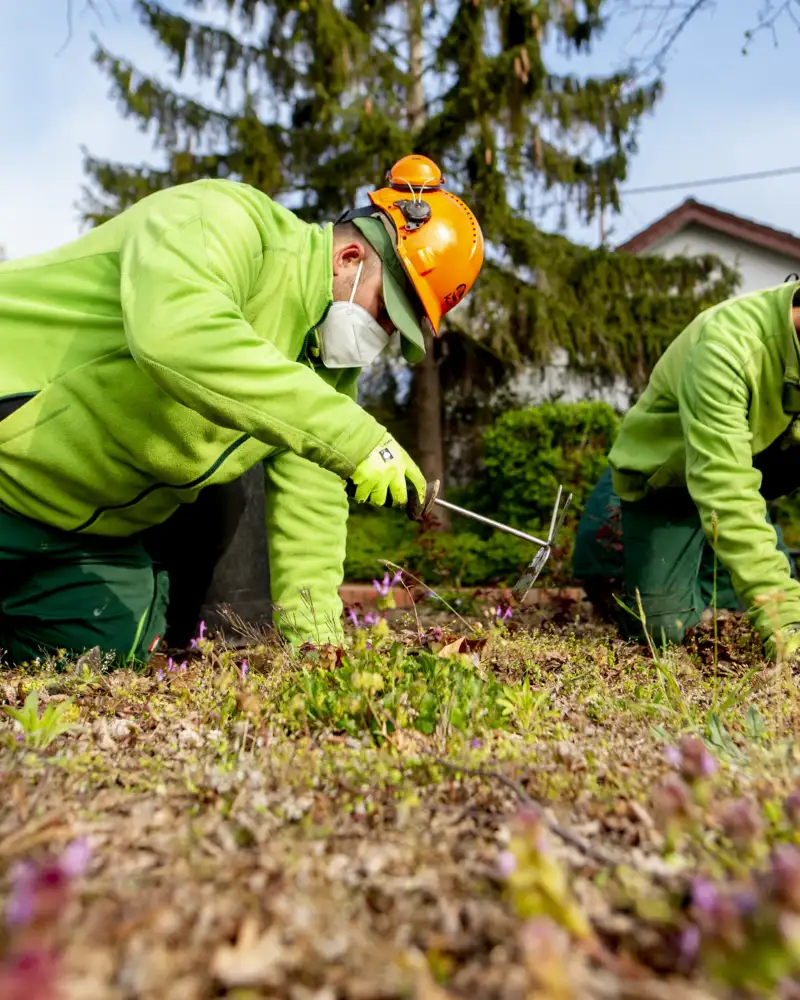 Zwei Männer in grüner Kleidung harken auf einer Brache.