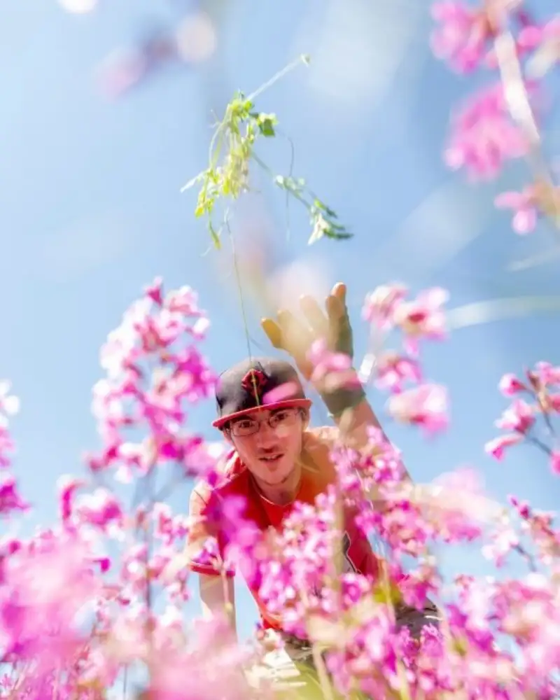 Ein Mann beugt sich über eine Wiese mit blühenden Blumen.