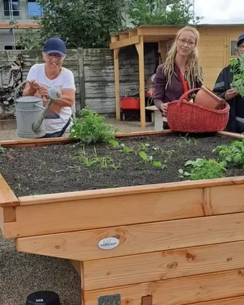 Vier Personen mit und ohne Behinderung stehen an einem Hochbeet