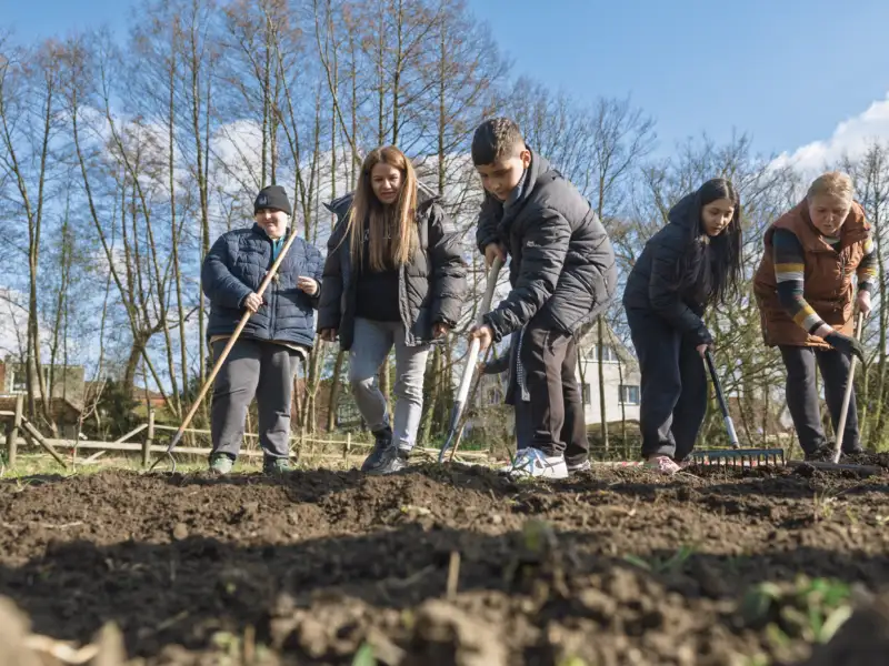 Eine Gruppe von Kindern und Erwachsenen harkt auf einem Beet