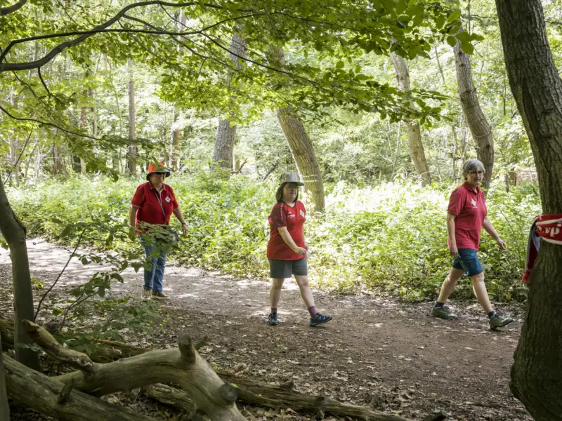 Eine Gruppe von Personen wandert auf einem breiten Weg durch einen Wald.