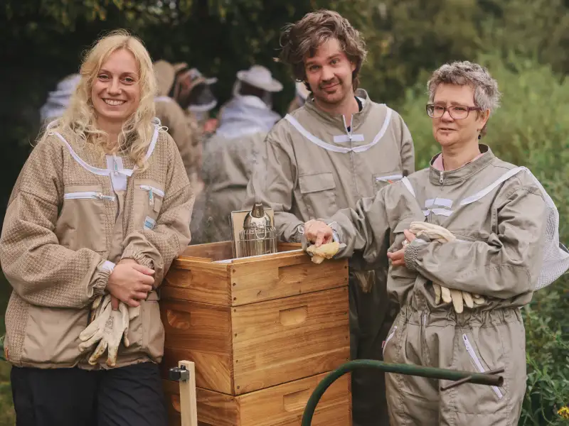 Mehrere Personen an einem Bienenstock