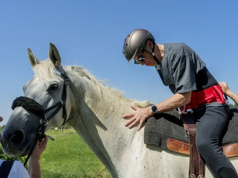 Ein Mann mit Helm sitzt auf einem Schimmel.