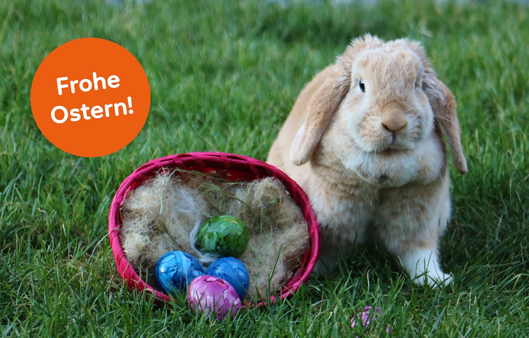 Ein Kaninchen mit Schlappohren sitzt auf einer grünen Wiese. Neben ihm liegt ein Osterkörbchen mit bunten Eiern.