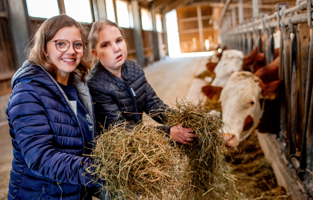 Zwei Mädchen mit und ohne Behinderung stehen in einem großen Kuhstall und füttern die Tiere mit Heu.