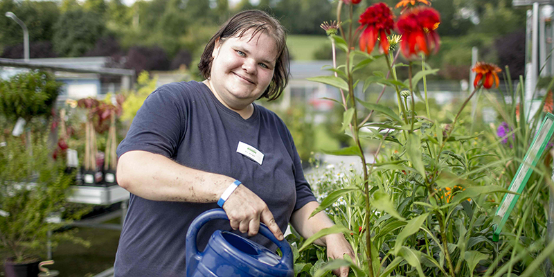 Fraugießt Blumen im Gartenmarkt