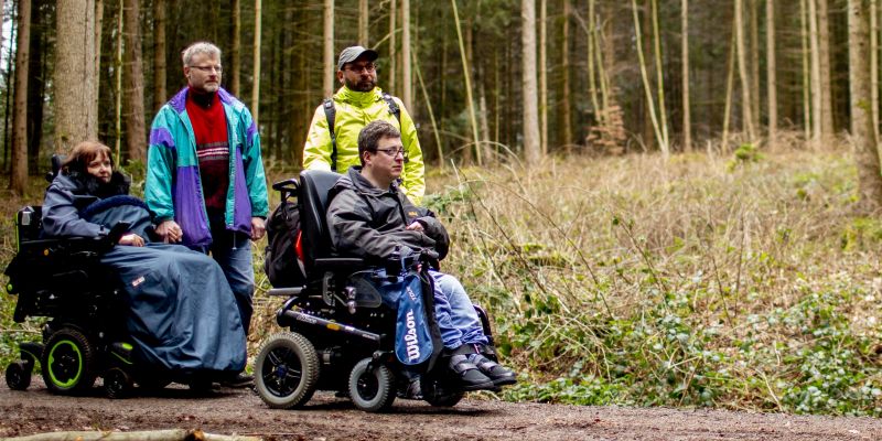 Vier Menschen spazieren durch einen Wald. Zwei davon sitzen im Rollstuhl.