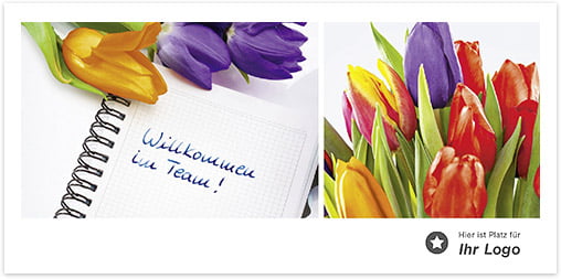Willkommen im Team