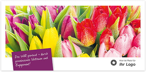 Bunte Tulpen