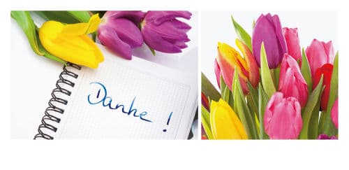 Danke Team