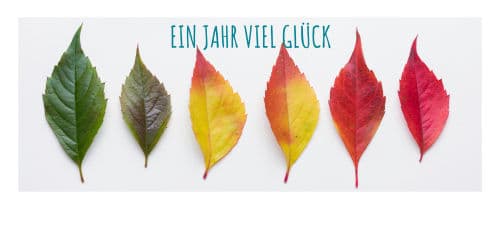 Laubblätter mit Schriftzug: Ein Jahr viel Glück