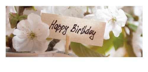 Happy Birthday - Schild im Blumentopf