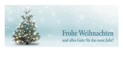 Frohe Weihnachten und Alles Gute für das neue Jahr